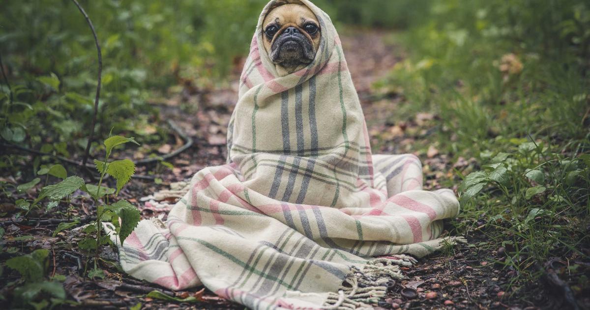 Case Study: Lộ trình 6 tháng bứt phá điểm 9+ môn Toán THPT Quốc gia của học sinh mất gốc