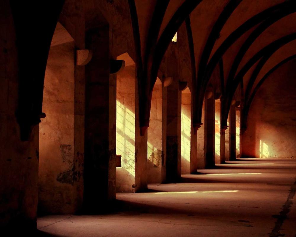 Herbal Tea Market - Botanical Product Setting