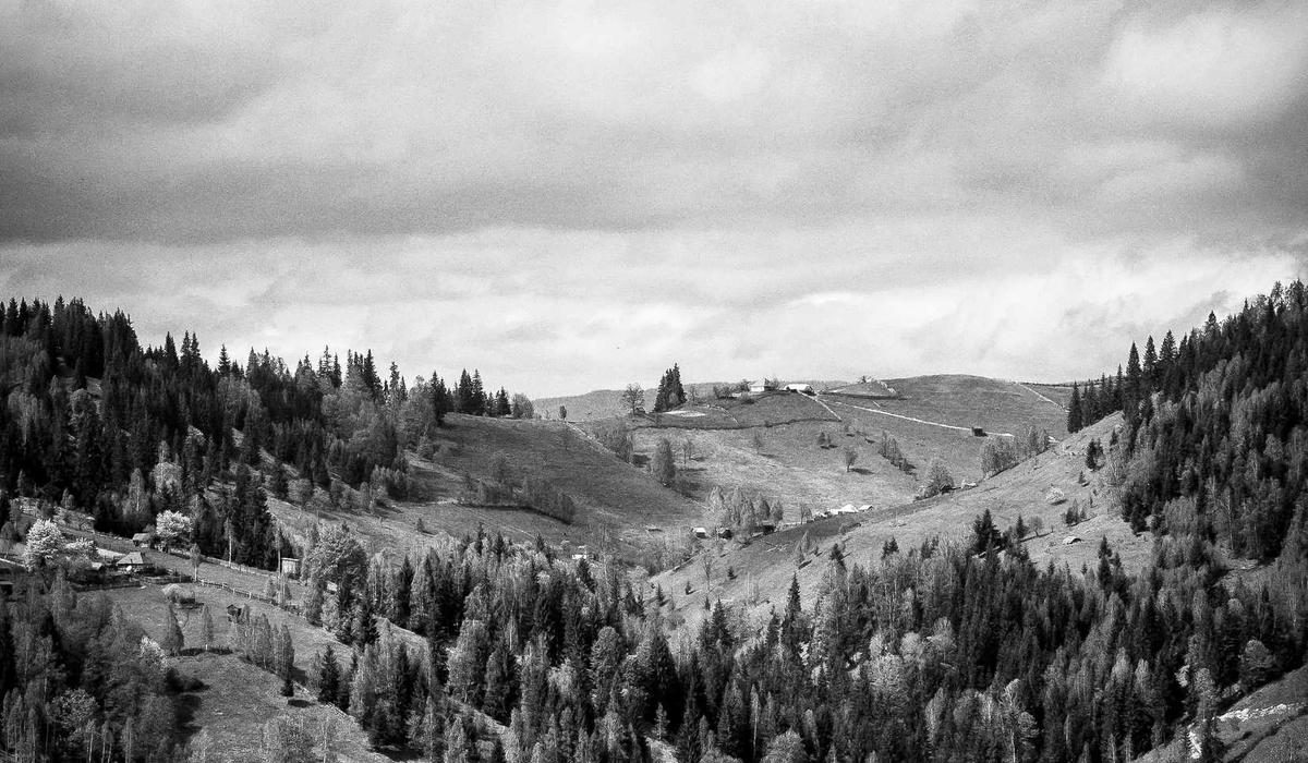 BrandGens AI SEO Technology