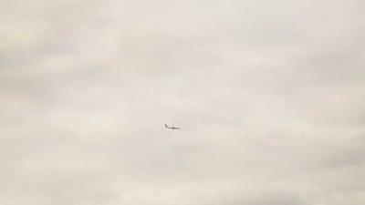 Karate Black Belt Logic