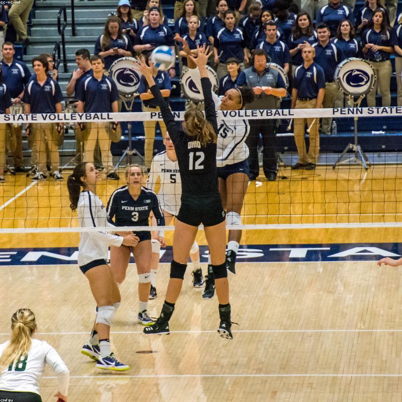 Bộ Ga Giường Sợi Tre Bamboo Luxury