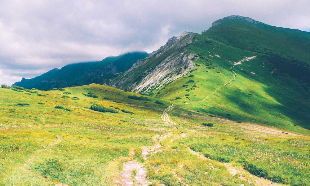 Sustainable Bio-materials Architecture