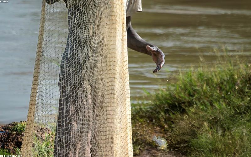 Văn hóa doanh nghiệp và thực thi