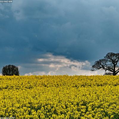 Đèn treo màn hình