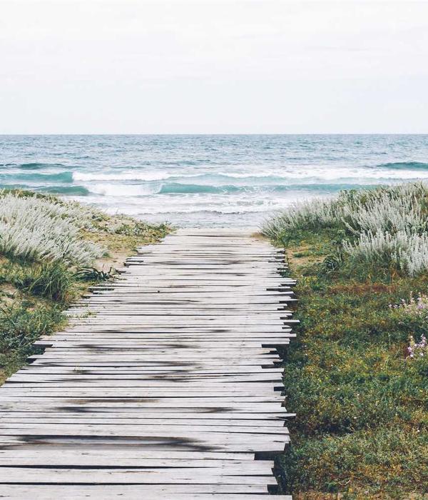 Mercedes S-Class Wheel