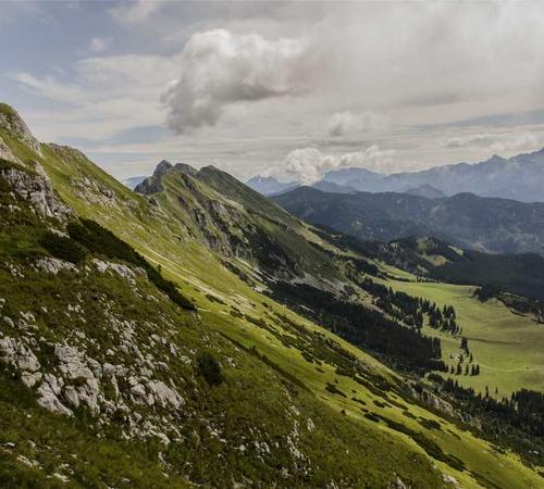 Buổi tiệc xa hoa