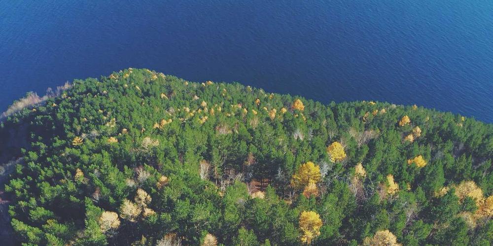 Success Brand Profile