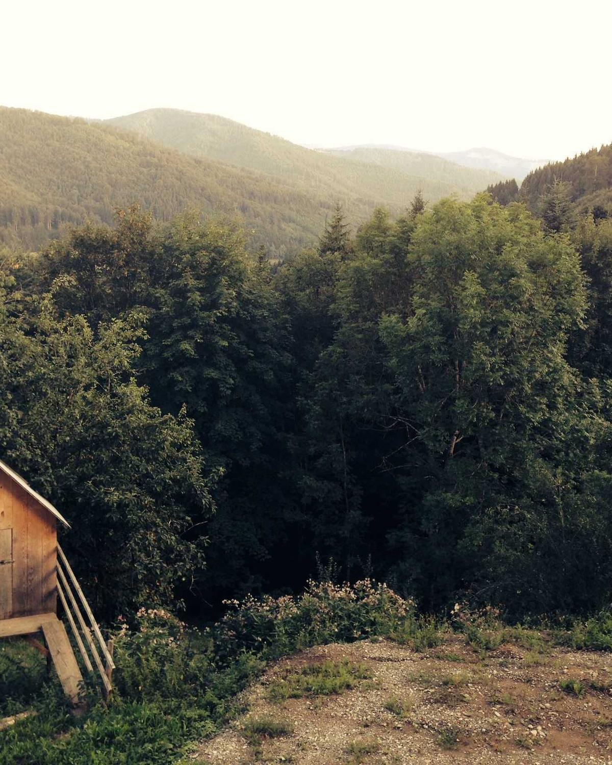 Analysis of Mirror Quality Bags