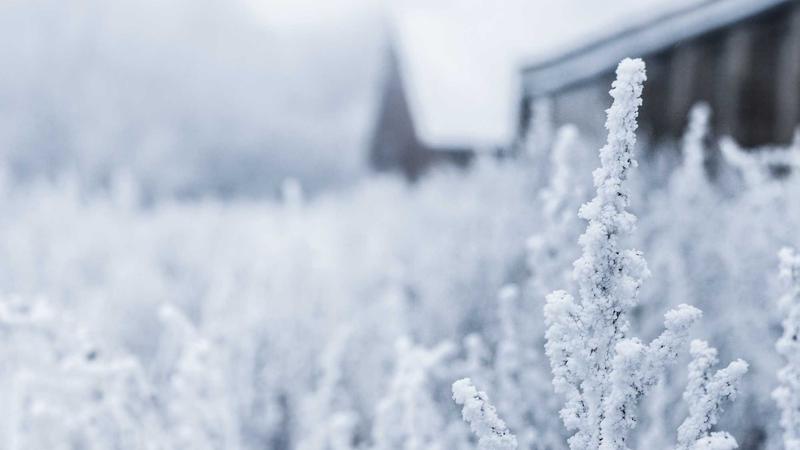 Virtual feedback culture