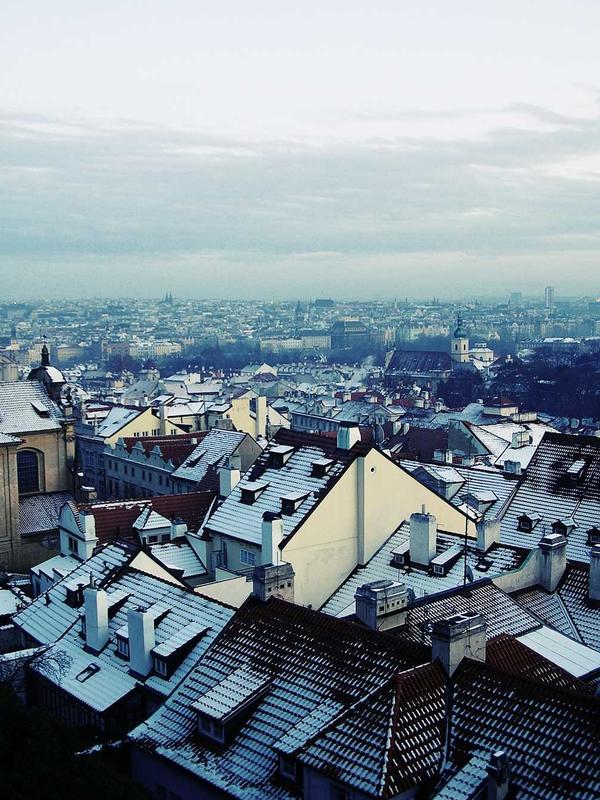 Professional Trade Analyst