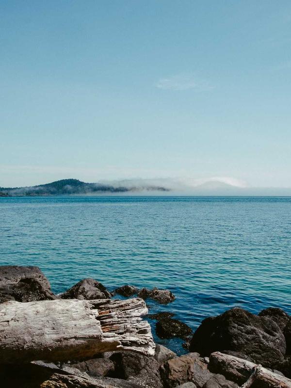 Virtual Fashion Show 2026