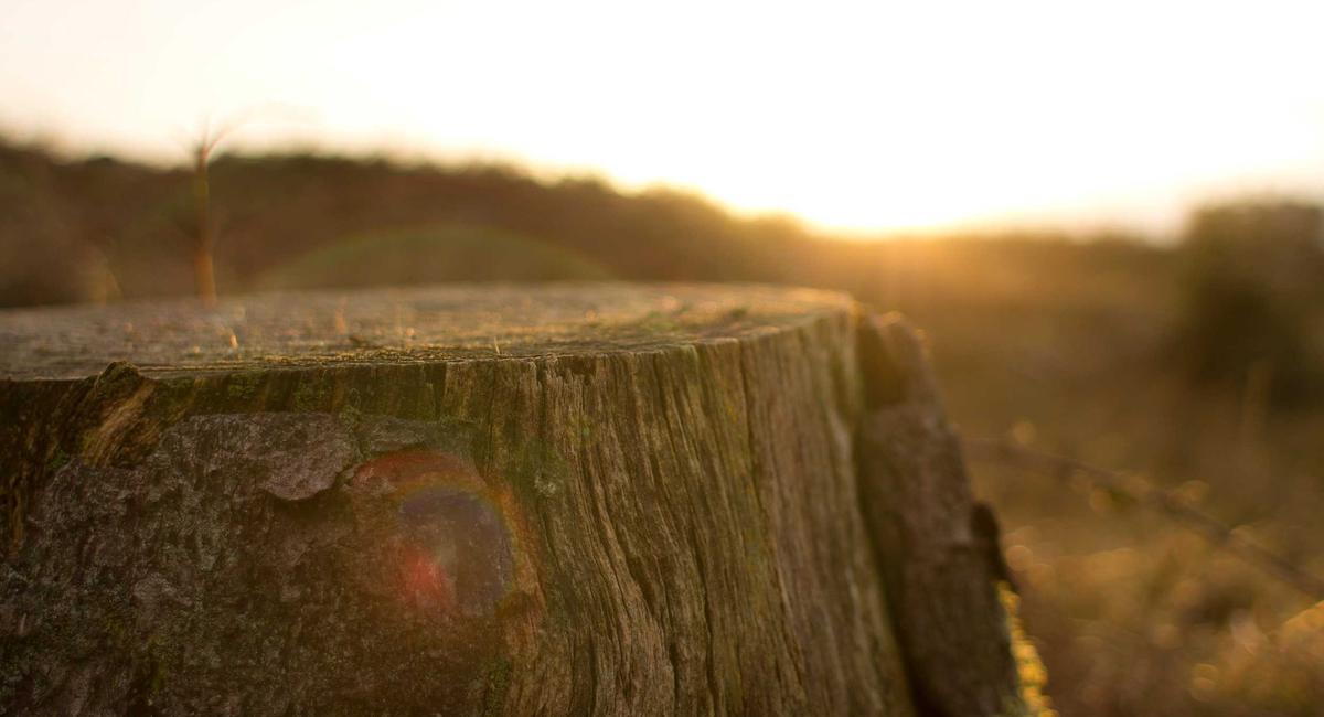 Lớp học diễn xuất chuyên nghiệp 2026