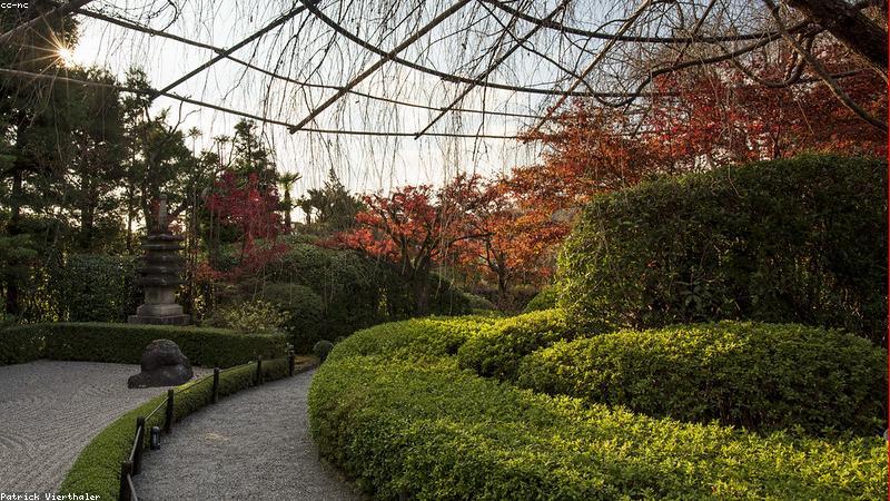 Bộ trà cụ tối giản của TeaCeremony VN