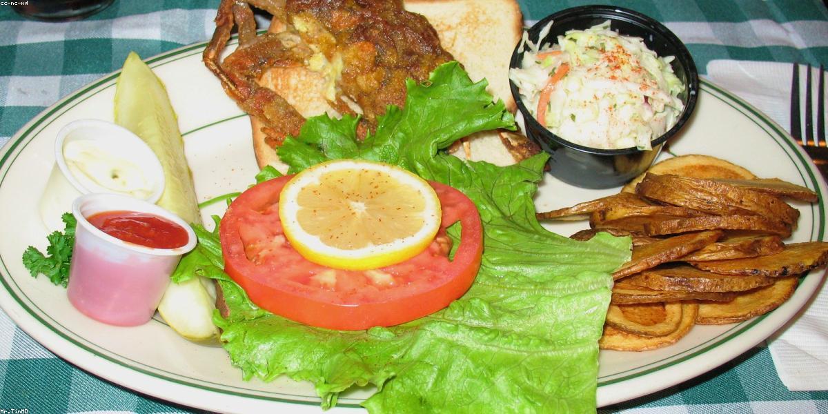 Organic Kitchen Salad