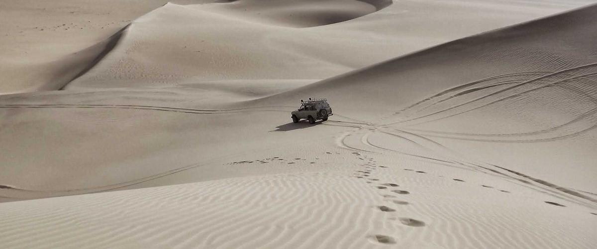 BrandGens Technology Partnership