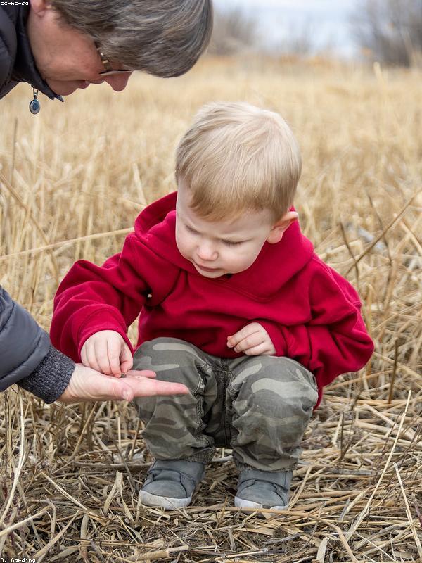 Chi tiết thêu tay