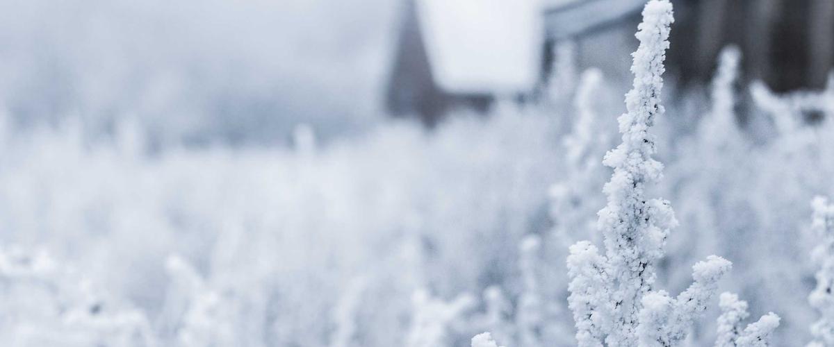 Inside a laptop hardware